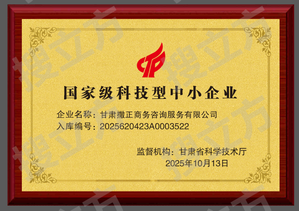 国家级科技型中小企业